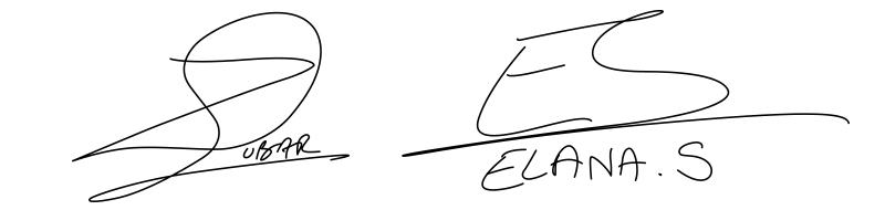 Signature Zubar Elana
